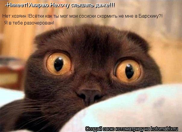 Котоматрица: -Нннеет!Умираю.Нехочу слышать даже!!! Нет хозяин !Всётки как ты мог мои сосиски скормить не мне а Барскику?! Я в тебе разочерован!
