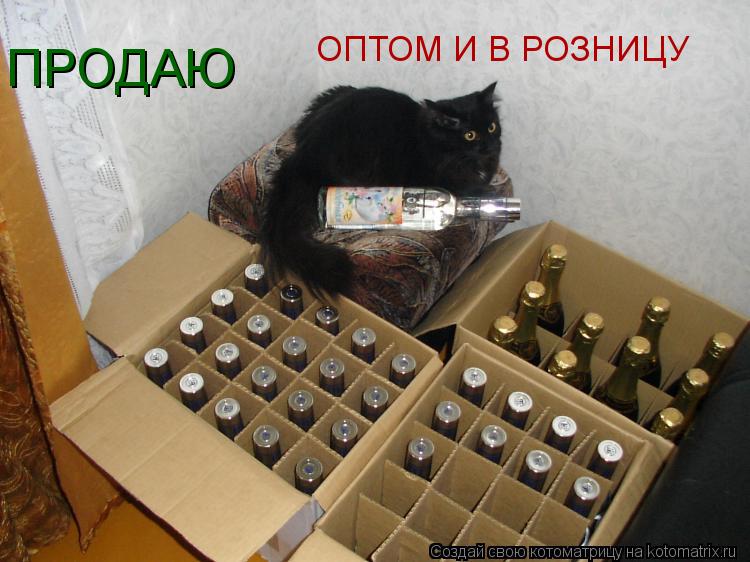 Котоматрица: ПРОДАЮ ОПТОМ И В РОЗНИЦУ