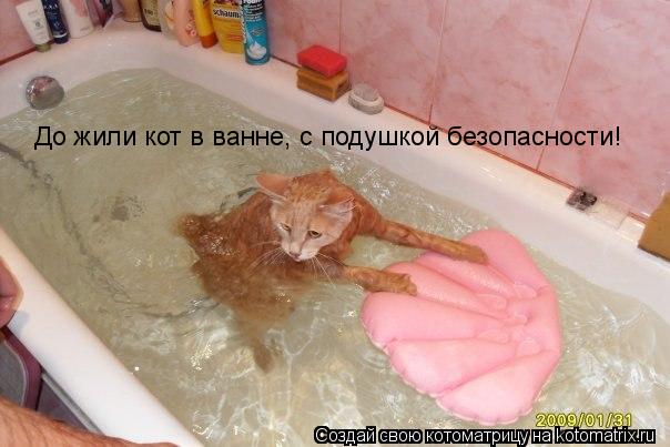 Котоматрица: До жили кот в ванне, с подушкой безопасности!