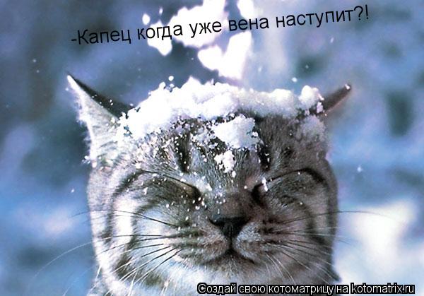 Котоматрица: -Капец когда уже вена наступит?!