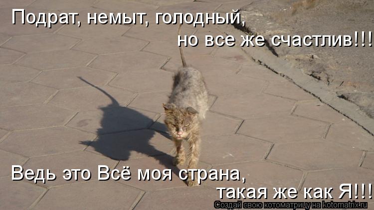 Котоматрица: Подрат, немыт, голодный, но все же счастлив!!! Ведь это Всё моя страна,  такая же как Я!!!