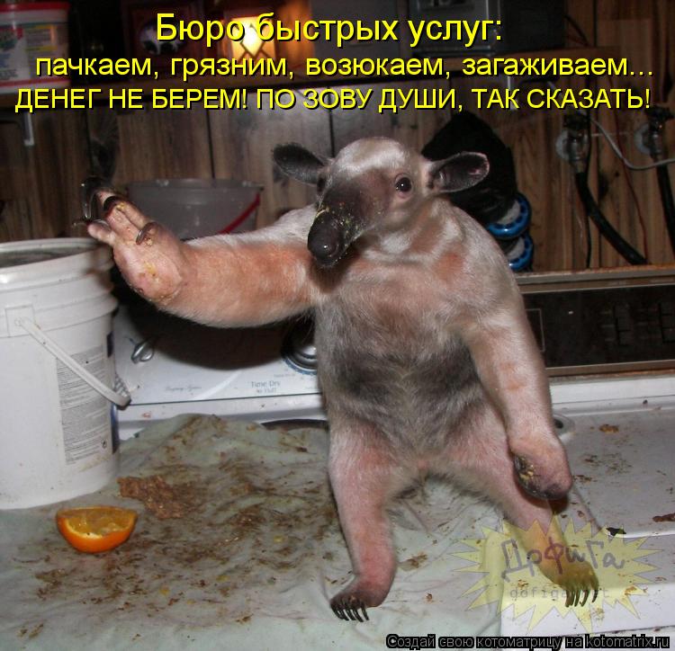 Котоматрица: Бюро быстрых услуг: пачкаем, грязним, возюкаем, загаживаем... ДЕНЕГ НЕ БЕРЕМ! ПО ЗОВУ ДУШИ, ТАК СКАЗАТЬ!