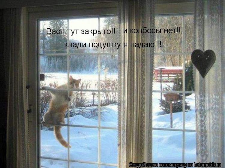Котоматрица: Вася тут закрыто!!! и колбосы нет!!! клади подушку я падаю !!!