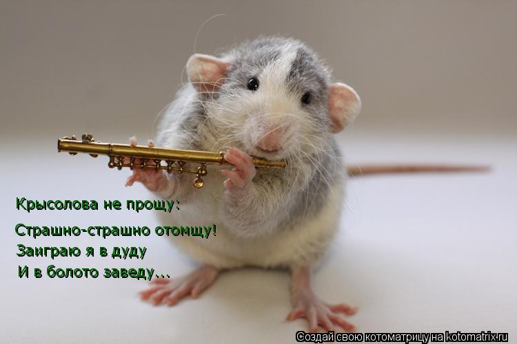 Котоматрица: Крысолова не прощу: Страшно-страшно отомщу! Заиграю я в дуду И в болото заведу...