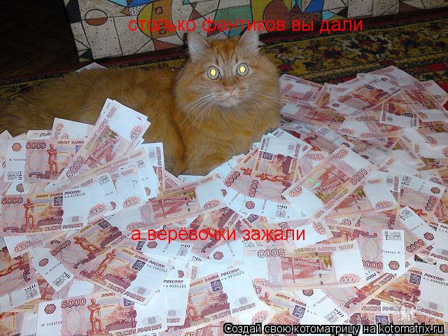 Котоматрица: столько фантиков вы дали а верёвочки зажали