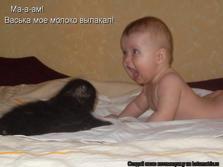 Котоматрица: Ма-а-ам! Васька мое молоко вылакал!