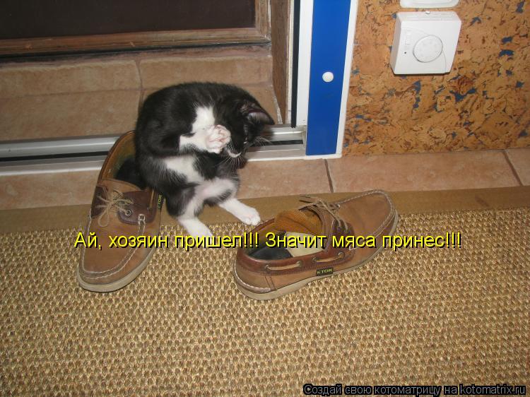 Котоматрица: Ай, хозяин пришел!!! Значит мяса принес!!!
