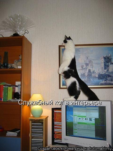 Котоматрица: Служебный кот в интерьере