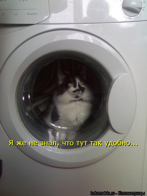 Котоматрица: Я же не знал, что тут так удобно...