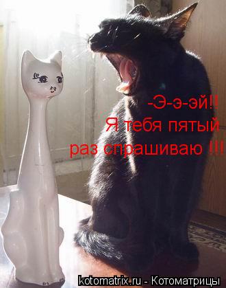Котоматрица: -Э-э-эй!! Я тебя пятый  раз спрашиваю !!!