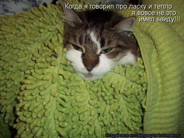 Котоматрица: Когда я говорил про ласку и тепло  я вовсе не это имел ввиду!!!