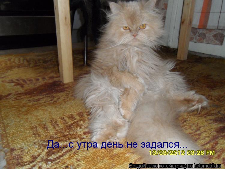Котоматрица: Да...с утра день не задался...