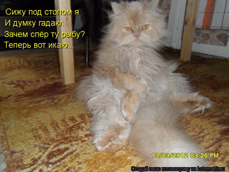 Котоматрица: Сижу под столом я И думку гадаю: Зачем спёр ту рыбу? Теперь вот икаю...