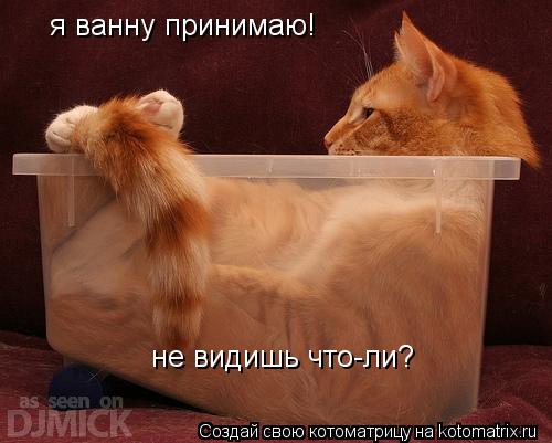 Котоматрица: я ванну принимаю! не видишь что-ли?