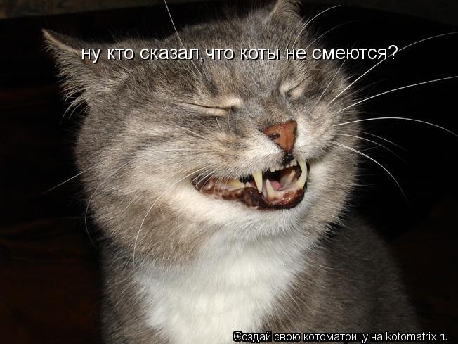 Котоматрица: ну кто сказал,что коты не смеются?