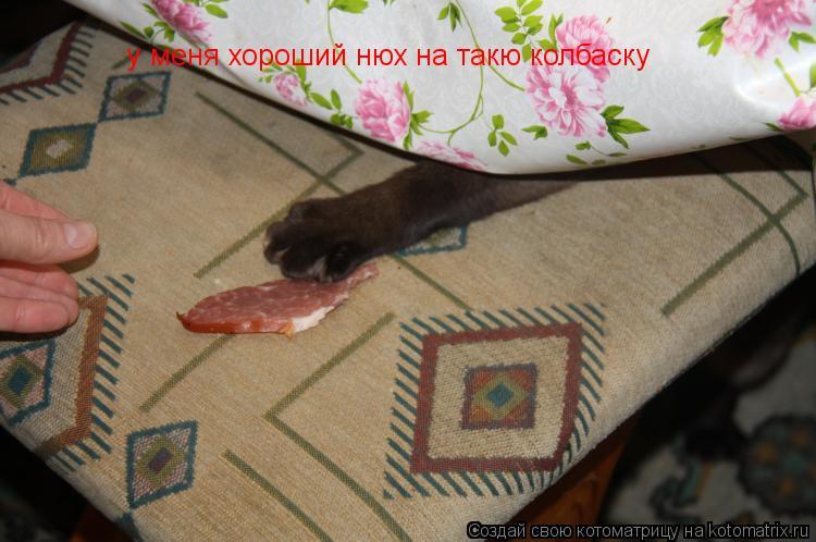 Котоматрица: у меня хороший нюх на такю колбаску