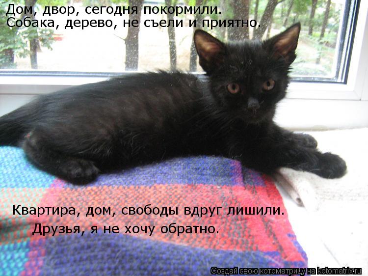 Котоматрица: Дом, двор, сегодня покормили. Собака, дерево, не съели и приятно. Квартира, дом, свободы вдруг лишили. Друзья, я не хочу обратно.