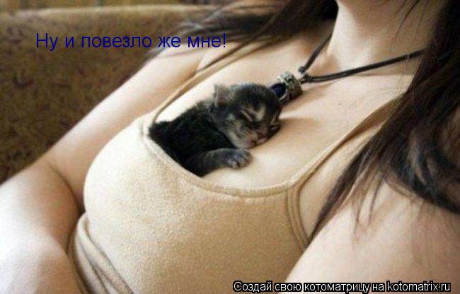 Котоматрица: Ну и повезло же мне!