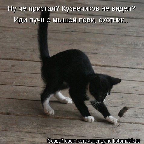 Котоматрица: Ну чё пристал? Кузнечиков не видел? Иди лучше мышей лови, охотник...