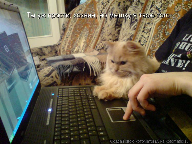 Котоматрица: Ты уж прости, хозяин, но мышку я твою того...