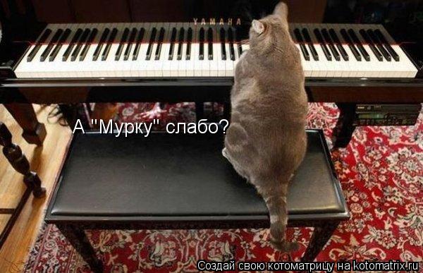 Котоматрица: А "Мурку" слабо?