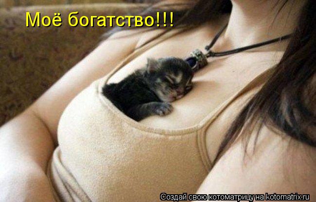 Котоматрица: Моё богатство!!!