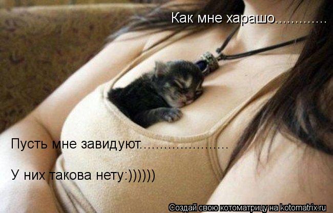 Котоматрица: Как мне харашо............. Пусть мне завидуют...................... У них такова нету:))))))