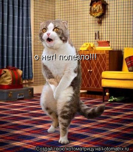 Котоматрица: о нет! полезло!!!