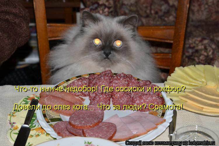 Котоматрица: Что-то нынче недобор! Где сосиски и рокфор? Что-то нынче недобор! Где сосиски и рокфор? Довели до слез кота... Что за люди? Срамота!