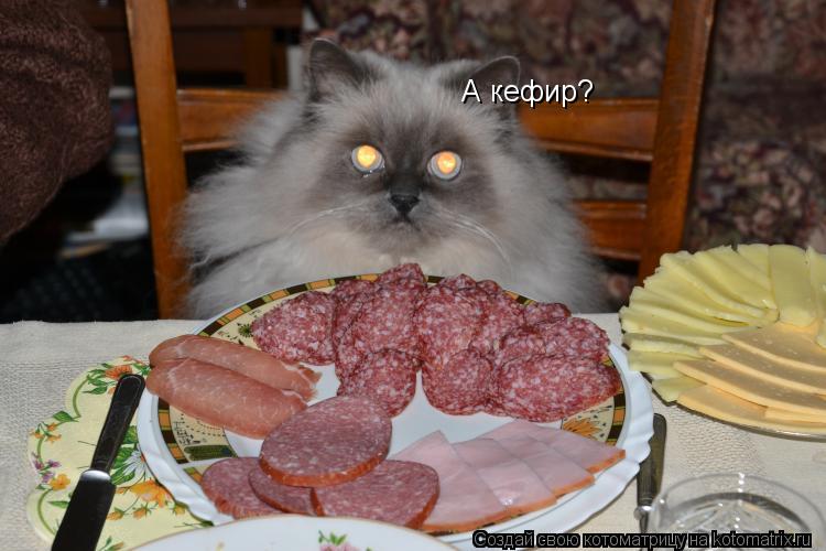 Котоматрица: А кефир?