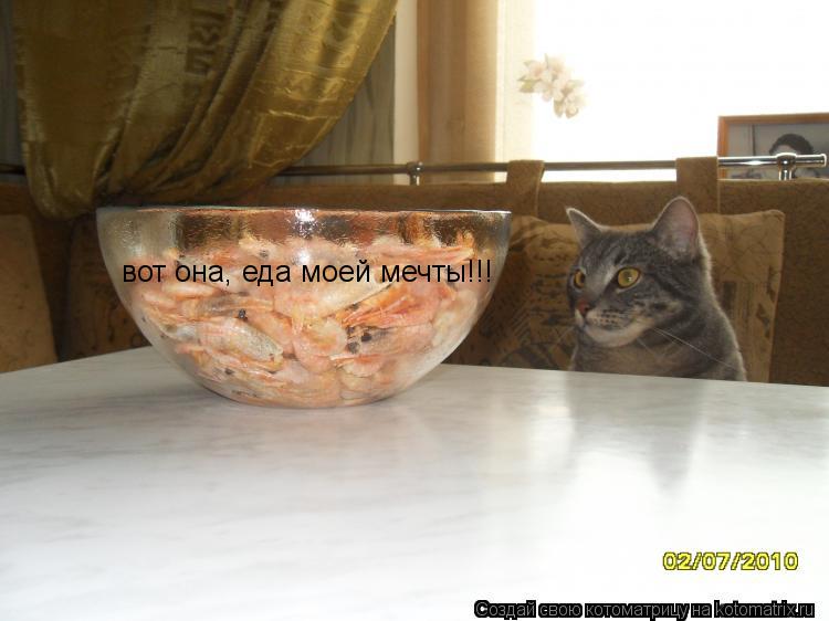 Котоматрица: вот она, еда моей мечты!!!