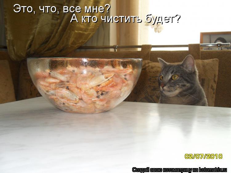 Котоматрица: Это, что, все мне? А кто чистить будет?