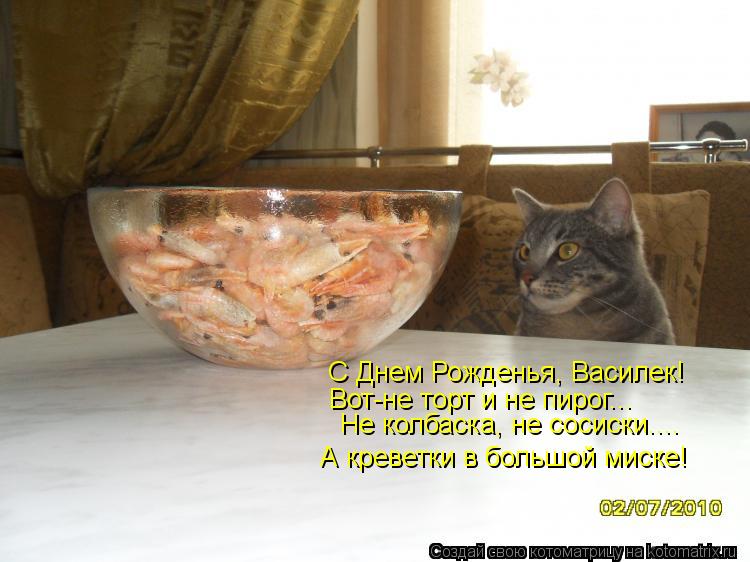 Котоматрица: С Днем Рожденья, Василек! Вот-не торт и не пирог... Не колбаска, не сосиски.... А креветки в большой миске!