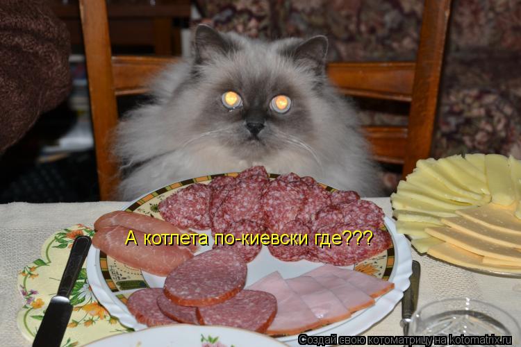 Котоматрица: А котлета по-киевски где???