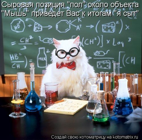 Котоматрица: Сыровая позиция "пол" около объекта "Мышь" приведет Вас к итогам "я сыт"