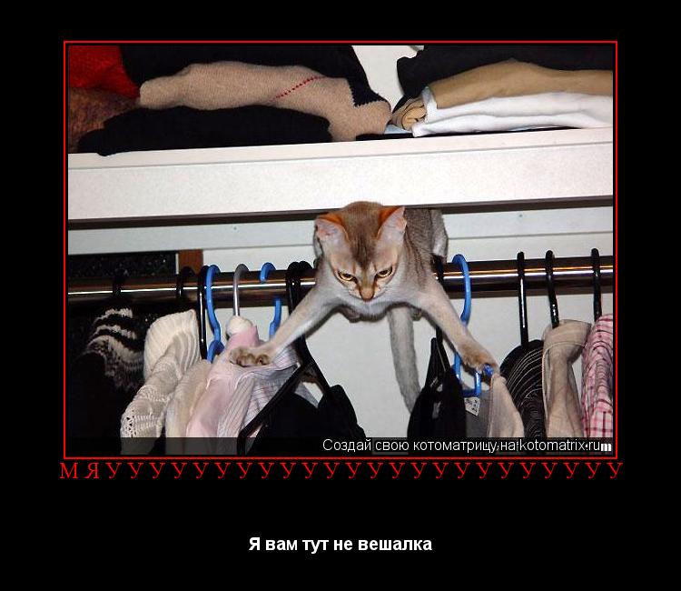 Котоматрица: Мяуууууууууууууууууууууууу Я вам тут не вешалка
