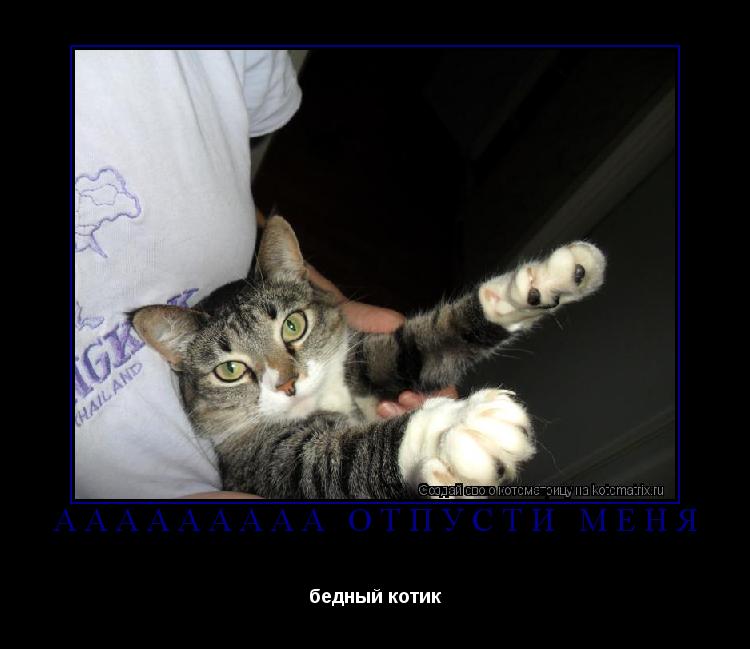 Котоматрица: ааааааааа отпусти меня бедный котик