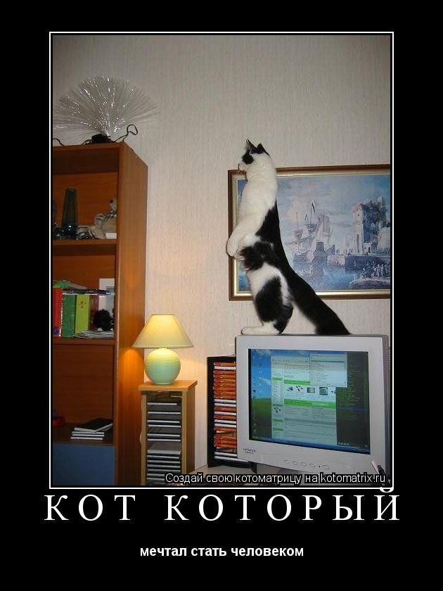 Котоматрица: КОТ КОТОРЫЙ мечтал стать человеком