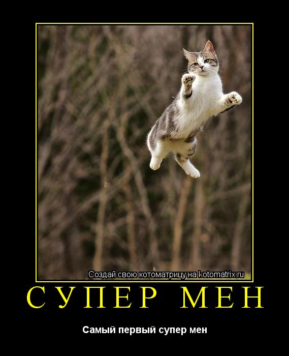 Котоматрица: Супер мен Самый первый супер мен