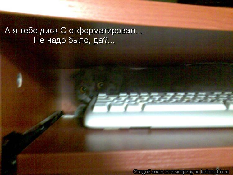 Котоматрица: А я тебе диск С отформатировал... Не надо было, да?...