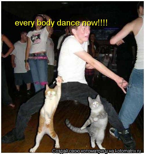 Котоматрица: every body dance now!!!!