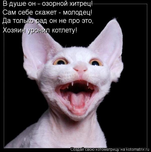 Котоматрица: В душе он - озорной хитрец! Сам себе скажет - молодец! Да только рад он не про это, Хозяин уронил котлету!