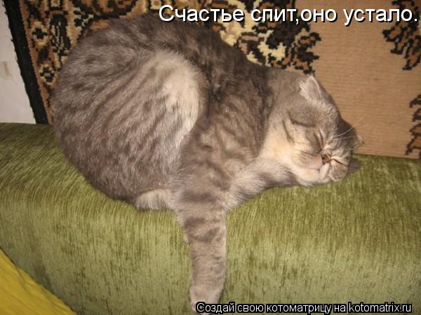Котоматрица: Счастье спит,оно устало...