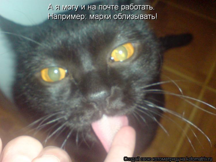 Котоматрица: А я могу и на почте работать. Например: марки облизывать!
