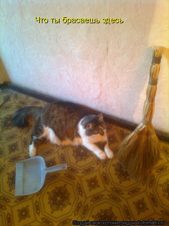 Котоматрица: Что ты брасаешь здесь