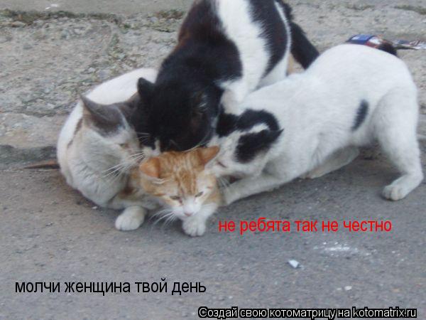 Котоматрица: не ребята так не честно молчи женщина твой день