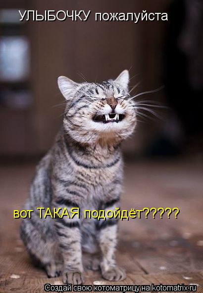 УЛЫБОЧКУ пожалуйста вот ТАКАЯ подойдёт?????... Котоматрица: УЛЫБОЧКУ пожалуйста вот ТАКАЯ подойдёт?????