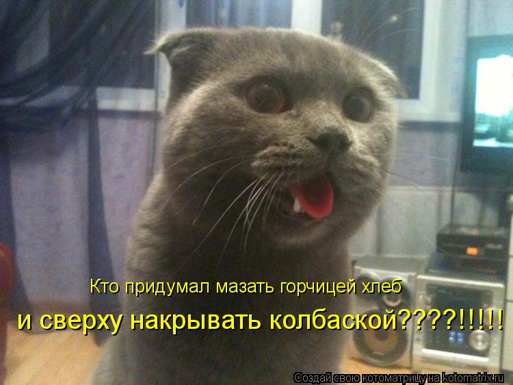 Кто придумал мазать горчицей хлеб и сверху накрывать колбаской????!!!!!... Котоматрица: Кто придумал мазать горчицей хлеб и сверху накрывать колбаской????!!!!!