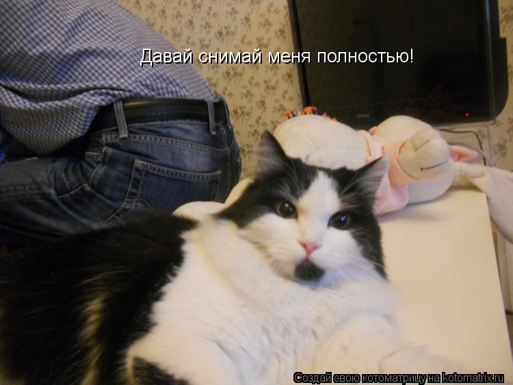 Давай снимай меня полностью!... Котоматрица: Давай снимай меня полностью!