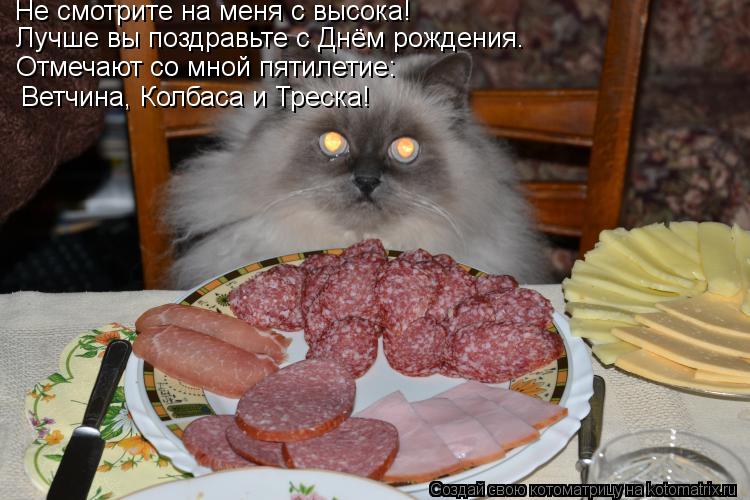 Котоматрица: Не смотрите на меня с высока! Лучше вы поздравьте с Днём рождения. Отмечают со мной пятилетие: Ветчина, Колбаса и Треска!